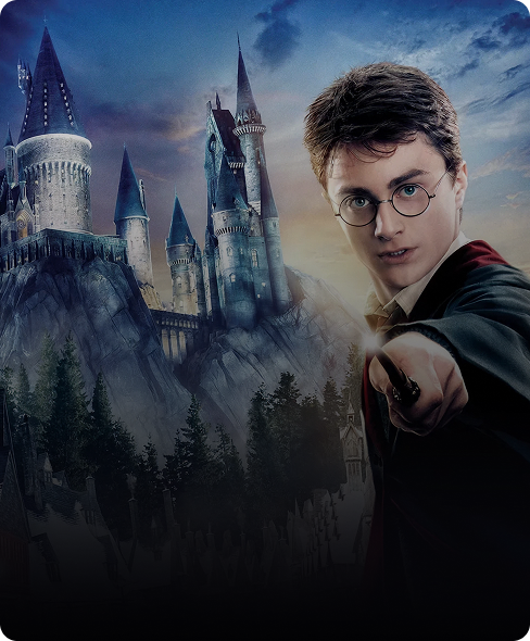 Wizarding World / Harry Potter